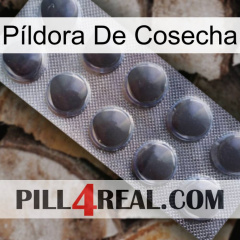 Píldora De Cosecha 30